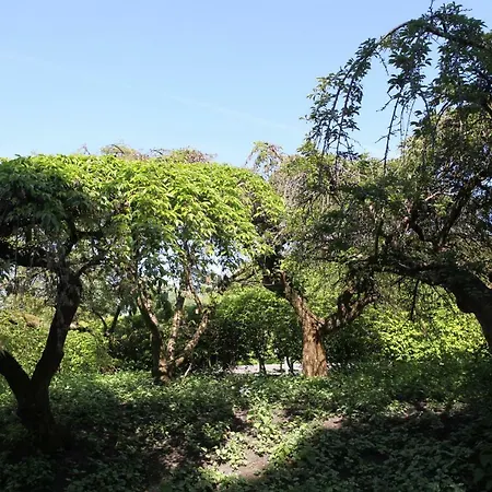 Beautiful Place For 4 Pensionat
