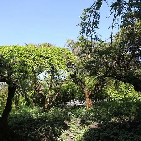 Beautiful Place For 4 Άμστερνταμ