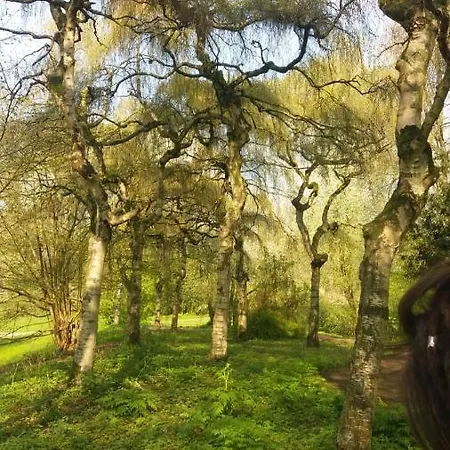 Beautiful Place For 4 Πανσιόν Άμστερνταμ